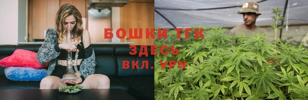 гашик Алексеевка