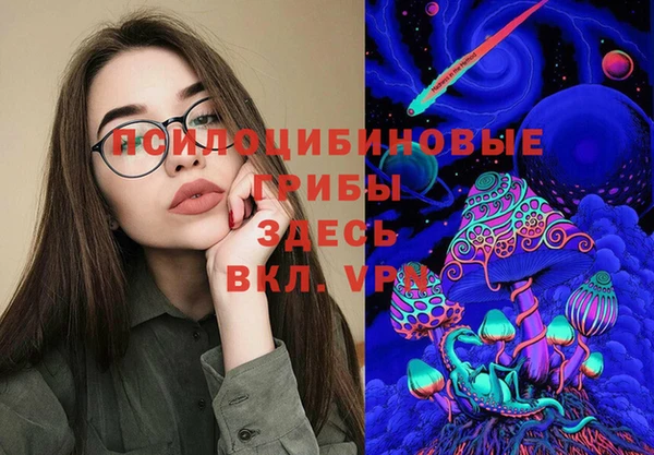 гашик Алексеевка