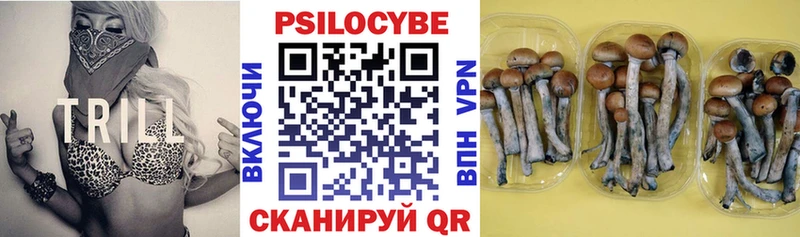 Псилоцибиновые грибы ЛСД где найти наркотики blacksprut Сочи