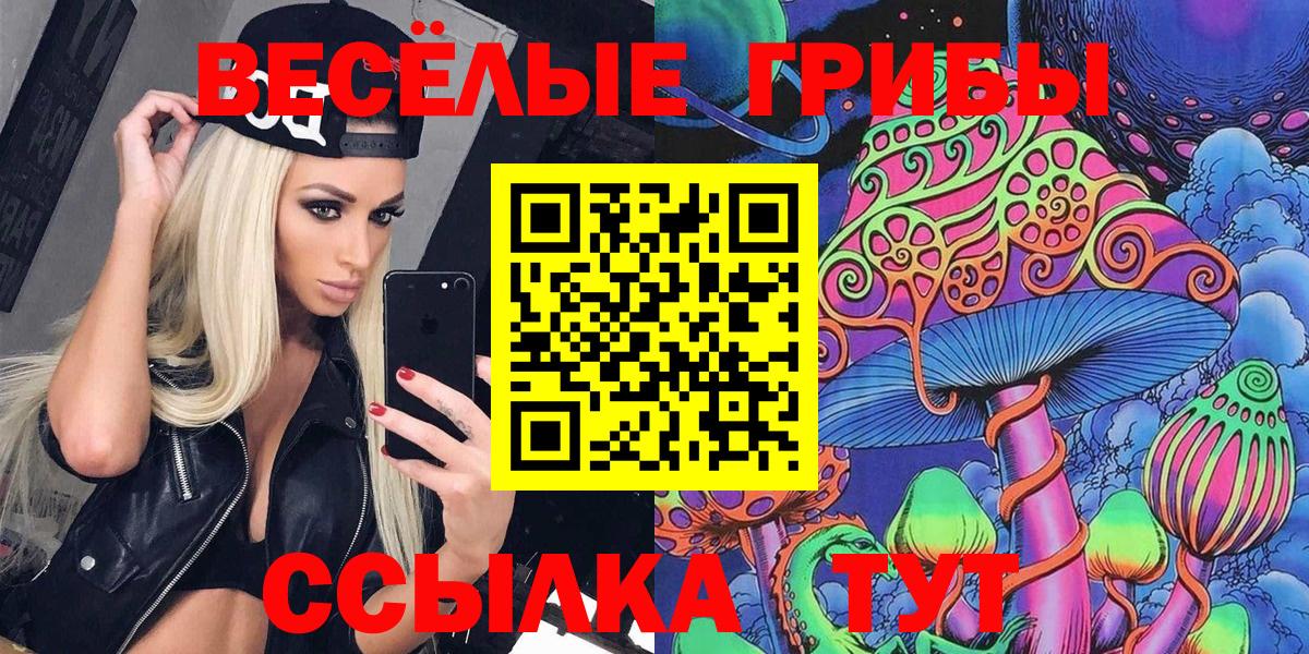 Галлюциногенные грибы мицелий  Псилоцибиновые грибы GOLDEN TEACHER  как найти   Сочи  Вход с VPN 